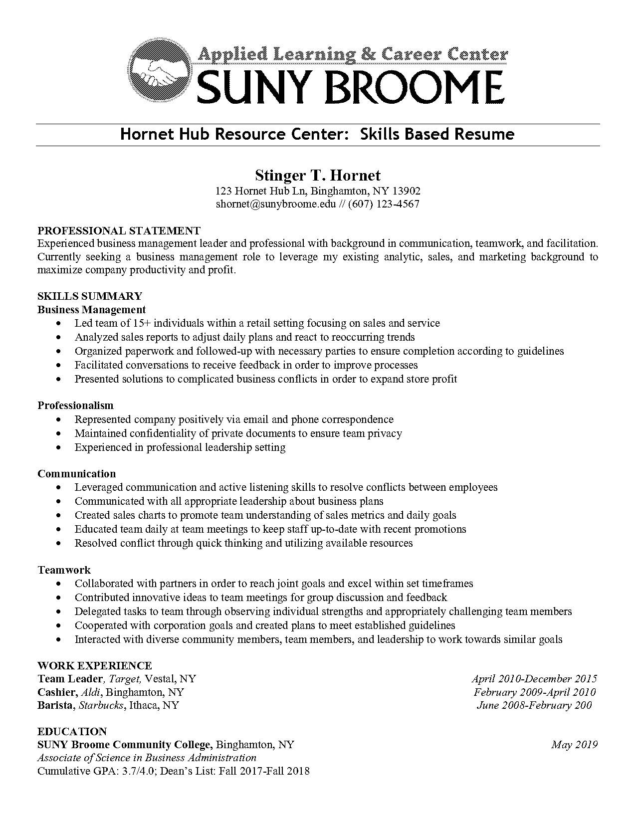 target team lead experience resume