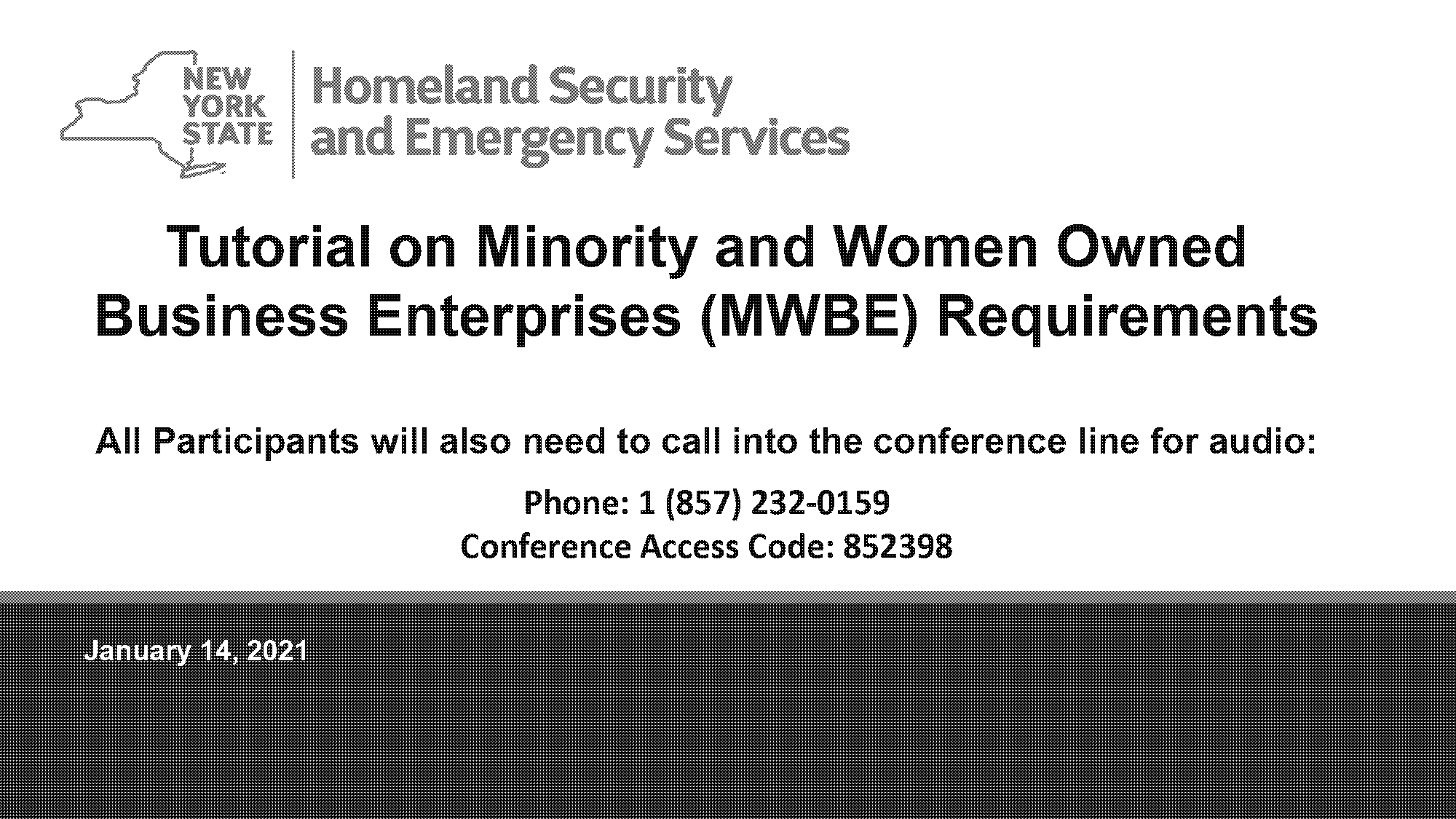 women and minority for ny government contracts