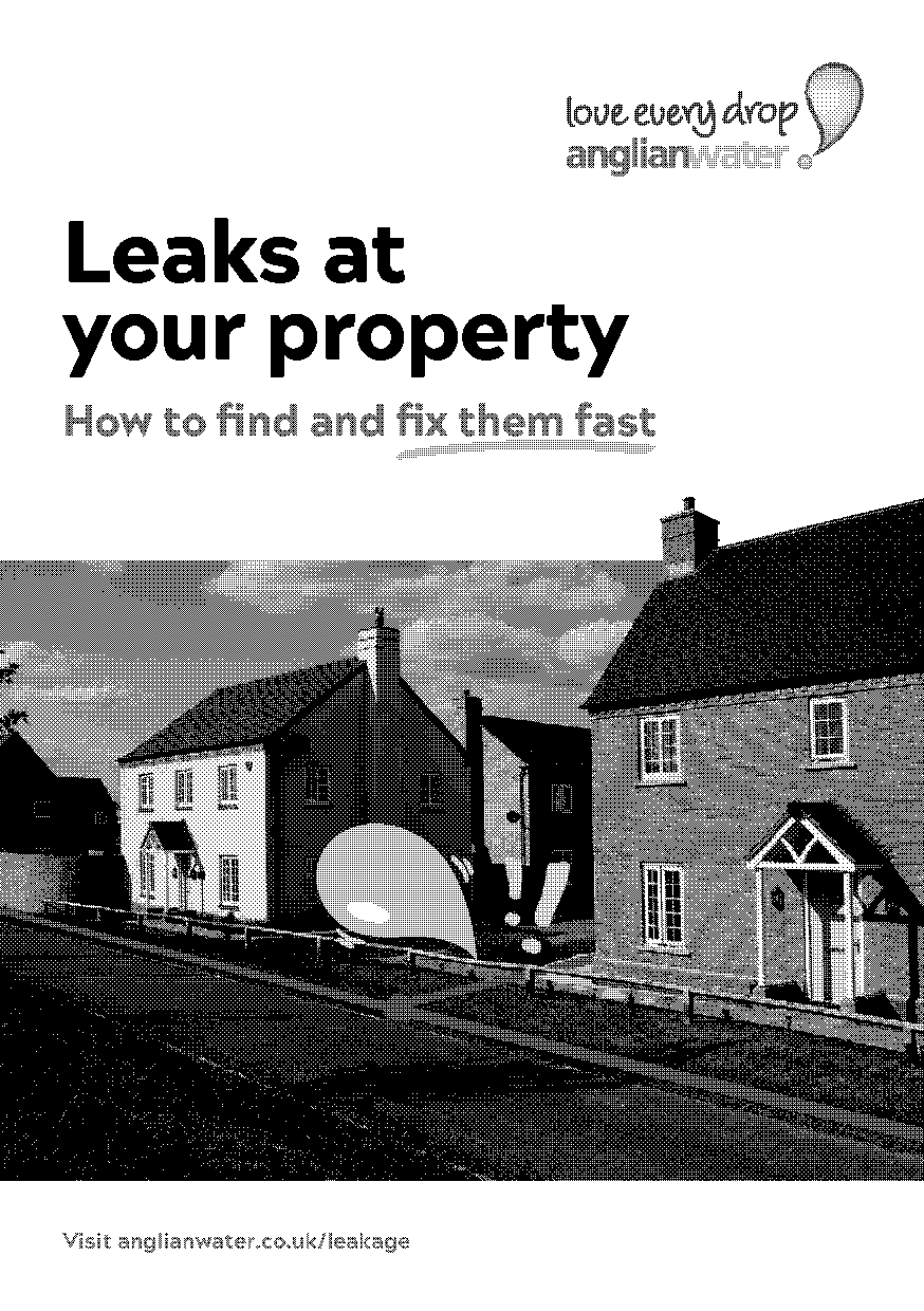 leaking pipe home insurance