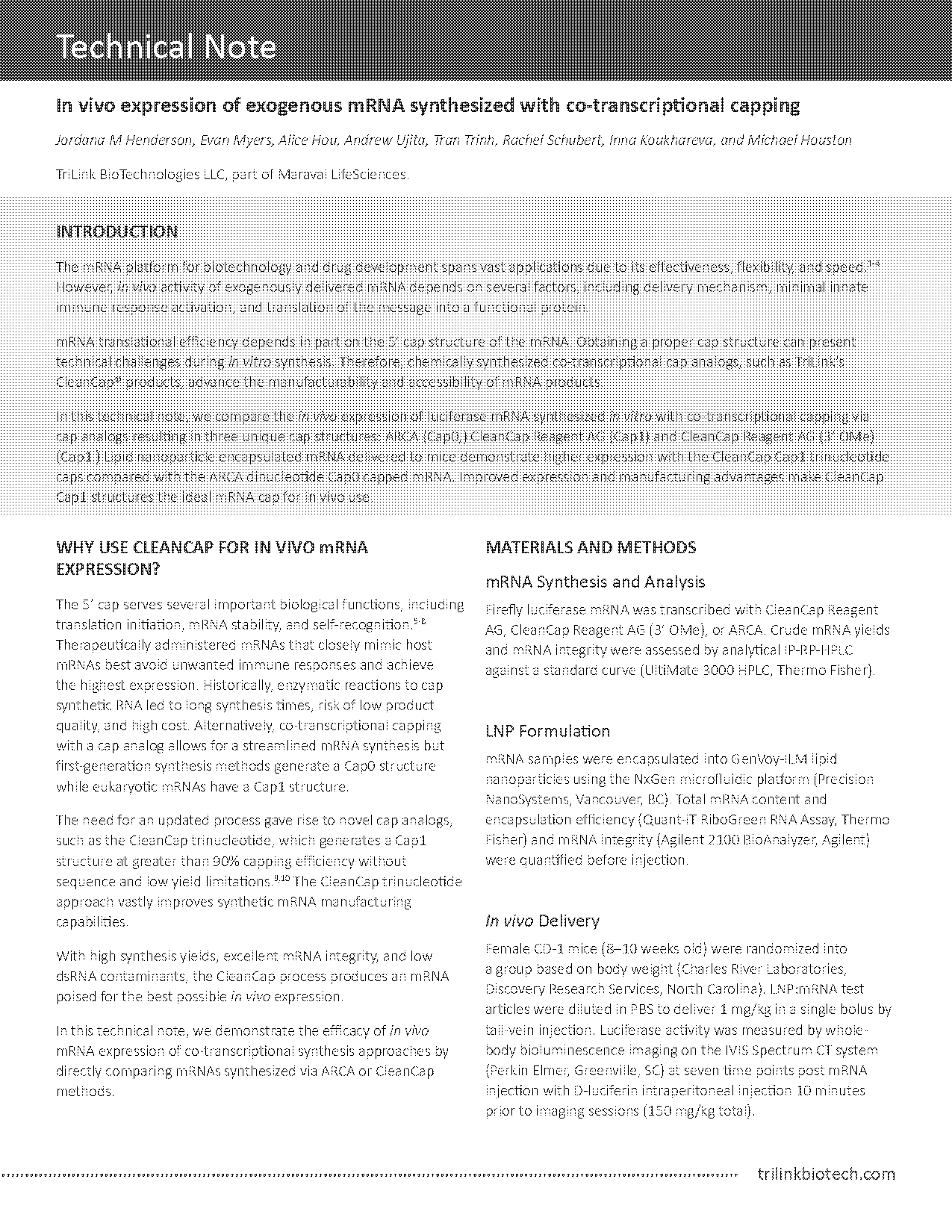 mrna synthesized translation transcription