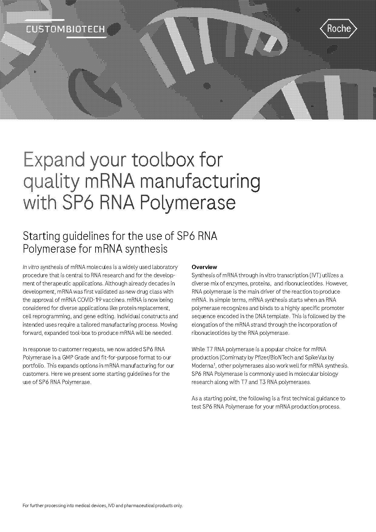 how rna polymerase recognizes where transcription should begin