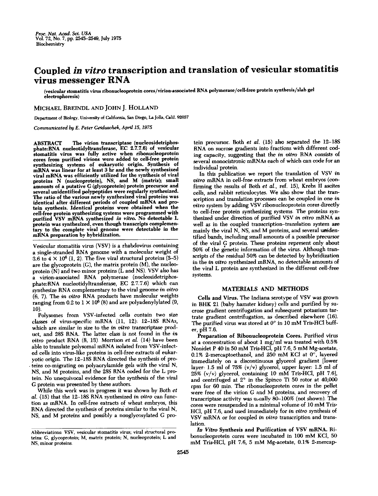 mrna synthesized translation transcription