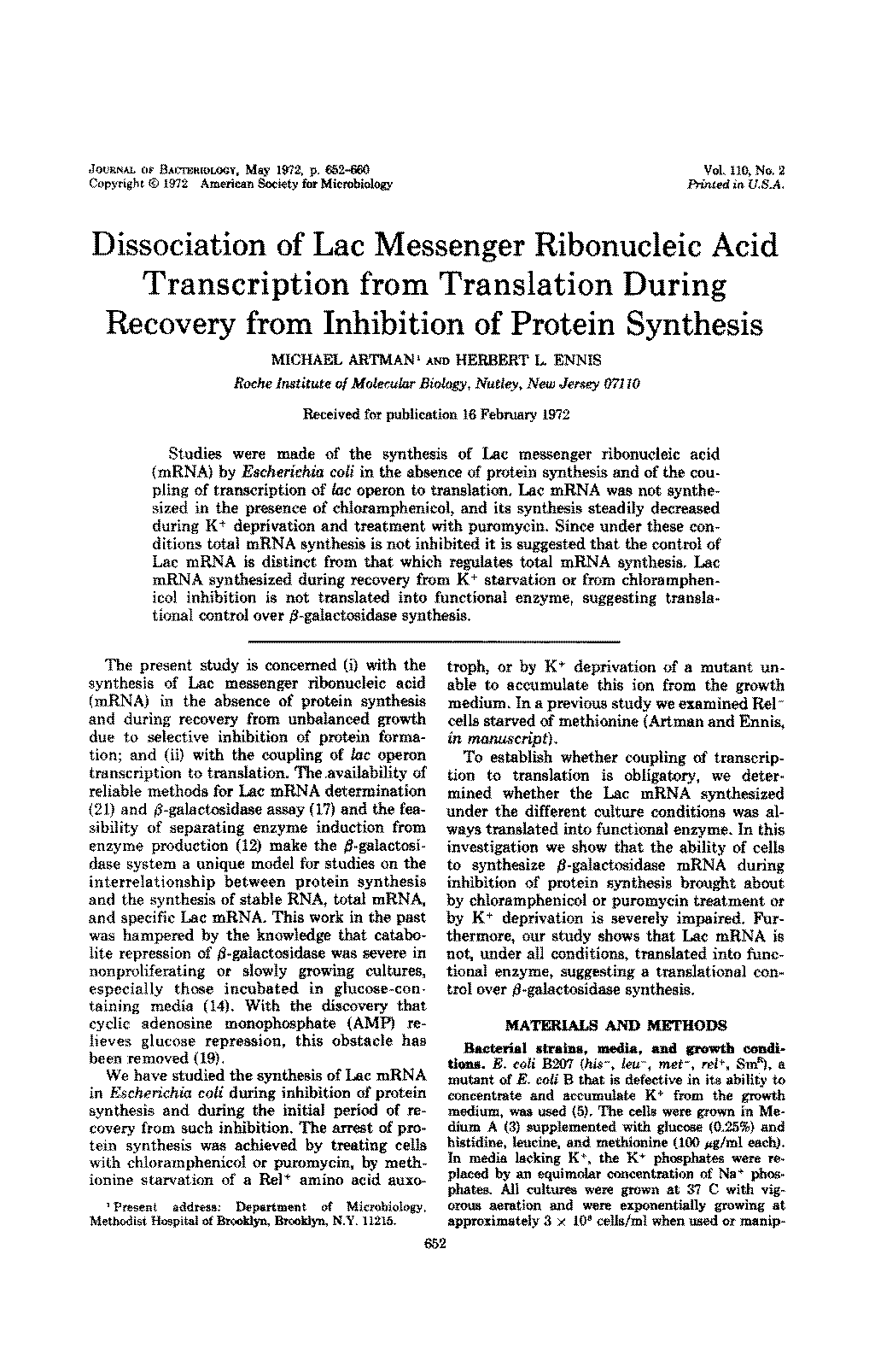 mrna synthesized translation transcription