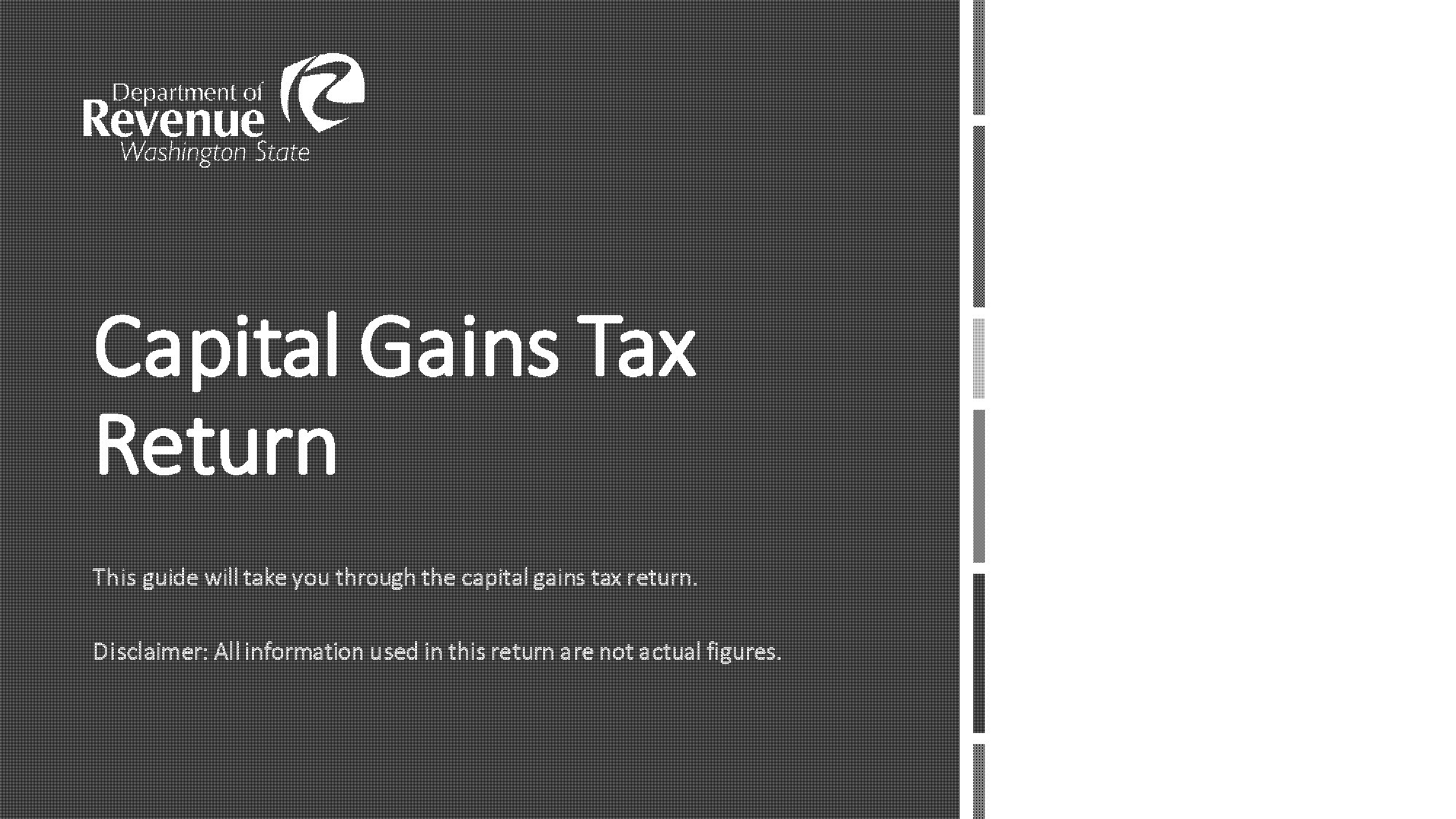 sample capital gains tax form